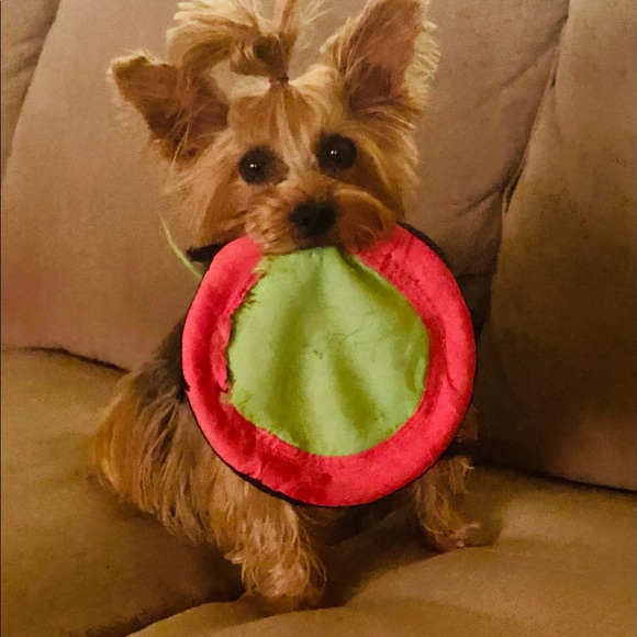 Meet your Posher, Lisa - Picture 1 of 1